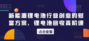 新能源锂电池行业创业的财富方案，锂电池回收高阶课-吾藏分享