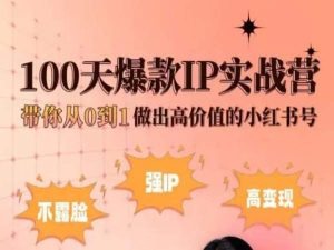 小红书100天爆款IP实战营，带你从0到1做出高价值的小红书号-吾藏分享