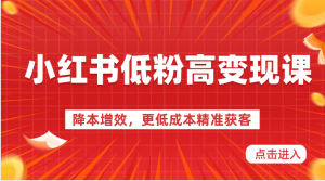 小红书低粉高变现课-降本增效，更低成本精准获客，小红书必爆的流量密码-吾藏分享