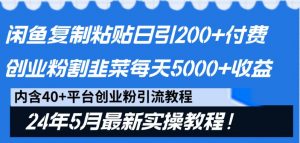 闲鱼复制粘贴日引200+付费创业粉，24年5月最新方法！割韭菜日稳定5000+收益-吾藏分享