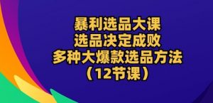 暴利选品大课：选品决定成败，教你多种大爆款选品方法(12节课)-吾藏分享