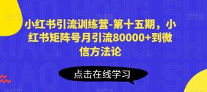 小红书引流训练营-第十五期，小红书矩阵号月引流80000+到微信方法论-吾藏分享