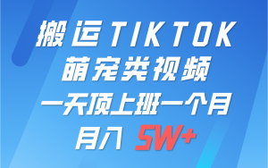 一键搬运TIKTOK萌宠类视频，一部手机即可操作，所有平台均可发布 轻松月入5W+-吾藏分享