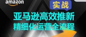 亚马逊高效推新精细化运营全流程，全方位、快速拉升产品排名和销量!-吾藏分享