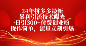 24年拼多多最新暴利引流技术曝光，日引300+付费创业粉，操作简单，流量…-吾藏分享