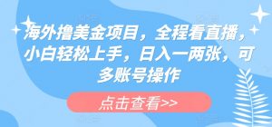 海外撸美金项目，全程看直播，小白轻松上手，日入一两张，可多账号操作-吾藏分享