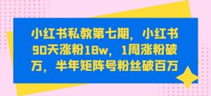 小红书私教第七期，小红书90天涨粉18w，1周涨粉破万，半年矩阵号粉丝破百万-吾藏分享