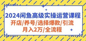 2024闲鱼高级实操运营课程：开店/养号/选择爆款/引流/月入2万/全流程-吾藏分享