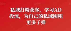 私域打粉获客，学习AD投流，为自己的私域囤积更多子弹-吾藏分享