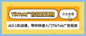 TikTok广告投放课程，从0-1实战课，带你快速入门TikTok广告投放（30节课）-吾藏分享