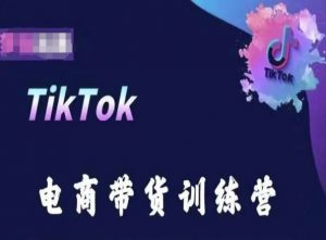 TikTok电商带货训练营，跟随时代潮流，跨境掘金-吾藏分享