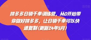 拼多多日销千单训练营，从0开始带你做好拼多多，让日销千单可以快速复制(更新24年5月)-吾藏分享