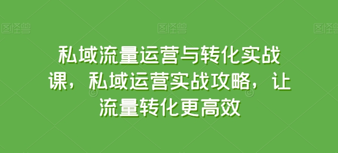 私域流量运营与转化实战课，私域运营实战攻略，让流量转化更高效-吾藏分享