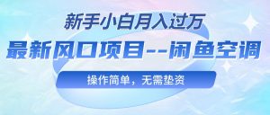 最新风口项目—闲鱼空调，新手小白月入过万，操作简单，无需垫资-吾藏分享