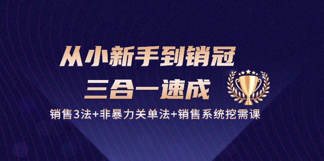 从小新手到销冠 三合一速成：销售3法+非暴力关单法+销售系统挖需课 (27节)-吾藏分享