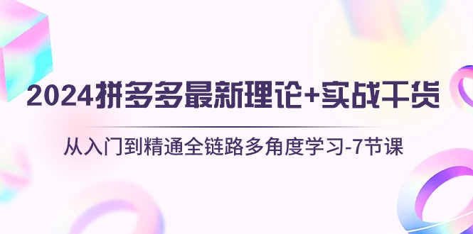 2024拼多多 最新理论+实战干货，从入门到精通全链路多角度学习-7节课-吾藏分享