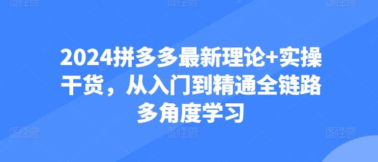 2024拼多多最新理论+实操干货，从入门到精通全链路多角度学习-吾藏分享