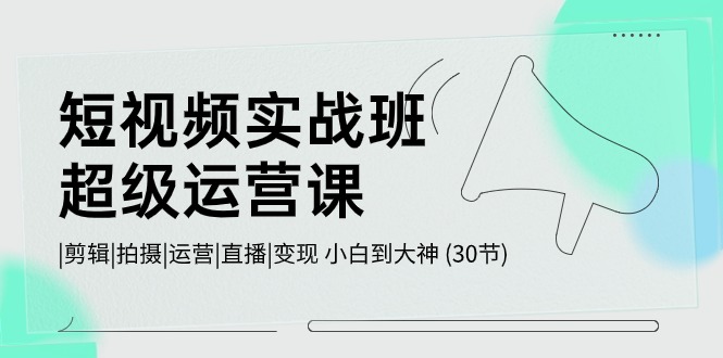 短视频实战班-超级运营课，|剪辑|拍摄|运营|直播|变现 小白到大神 (30节)-吾藏分享