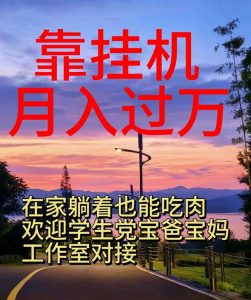 靠挂机，日入1000+，躺着也能吃肉，适合宝爸宝妈学生党工作室，电脑手…-吾藏分享