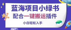 蓝海项目小绿书，配合一键搬运插件，小白轻松入手-吾藏分享