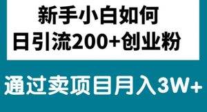 新手小白日引流200+创业粉,通过卖项目月入3W+-吾藏分享