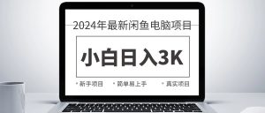 2024最新闲鱼卖电脑项目，新手小白日入3K+，最真实的项目教学-吾藏分享