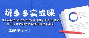 拼多多·实战课：万人团玩法/截流自然流/最新强付费打法/最新原价卡大促..-吾藏分享