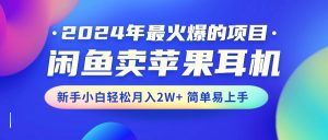 2024年最火爆的项目，闲鱼卖苹果耳机，新手小白轻松月入2W+简单易上手-吾藏分享