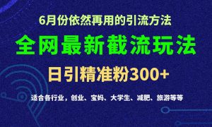 2024全网最新截留玩法，每日引流突破300+-吾藏分享