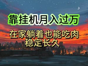 挂机项目日入1000+，躺着也能吃肉，适合宝爸宝妈学生党工作室，电脑手…-吾藏分享