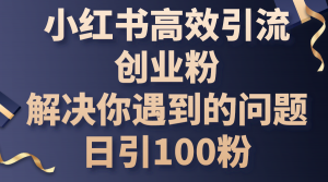 小红书高效引流创业粉，解决你遇到的问题，日引100粉-吾藏分享