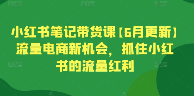 小红书笔记带货课【6月更新】流量电商新机会，抓住小红书的流量红利-吾藏分享