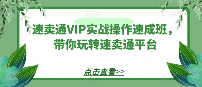 速卖通VIP实战操作速成班，带你玩转速卖通平台-吾藏分享