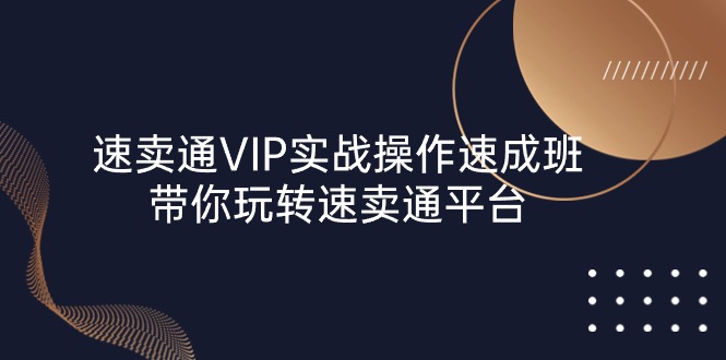 速卖通 VIP实战操作-速成班，带你玩转速卖通平台（23节）-吾藏分享