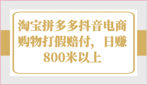 淘宝拼多多抖音电商购物打假赔付，日赚800米以上-吾藏分享