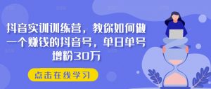 抖音实训训练营，教你如何做一个赚钱的抖音号，单日单号增粉30万-吾藏分享