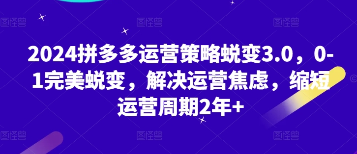 2024拼多多运营策略蜕变3.0，0-1完美蜕变，解决运营焦虑，缩短运营周期2年+-吾藏分享