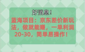 越早知道越能赚到钱的蓝海项目：京东大平台操作，一单利润20-30，简单…-吾藏分享