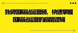 外贸国际站运营顾问，快速掌握国际站运营的底层逻辑-吾藏分享