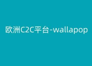 欧洲C2C平台-wallapop-kim跨境电商教程-吾藏分享