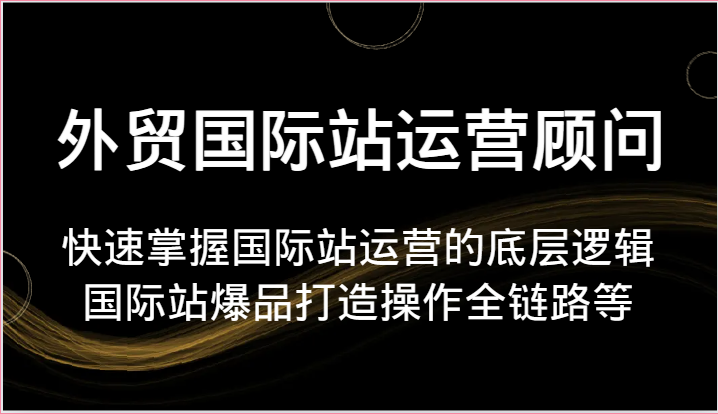 外贸国际站运营顾问-快速掌握国际站运营的底层逻辑，国际站爆品打造操作全链路等-吾藏分享