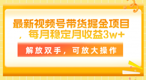 最新视频号带货掘金项目，每月稳定月收益3w+，解放双手，可放大操作-吾藏分享