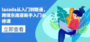 lazada从入门到精通，跨境东南亚新手入门必修课-吾藏分享