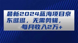 最新2024蓝海项目京东逛逛，无需剪辑，每月收入2万+-吾藏分享