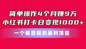 简单操作4个月赚9万！小红书打卡日变现1000+！一个被忽视的暴力项目-吾藏分享