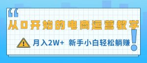 从0开始的电商运营教学，月入2W+，新手小白轻松躺赚-吾藏分享