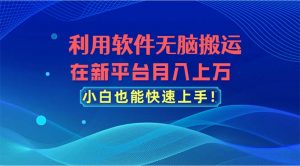 利用软件无脑搬运，在新平台月入上万，小白也能快速上手-吾藏分享