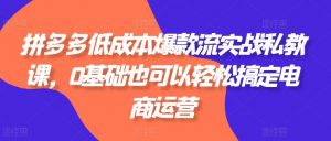 拼多多低成本爆款流实战私教课，0基础也可以轻松搞定电商运营-吾藏分享