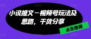 小说推文—视频号玩法及思路，干货分享-吾藏分享