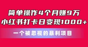 简单操作4个月赚9w，小红书打卡日变现1k，一个被忽视的暴力项目-吾藏分享